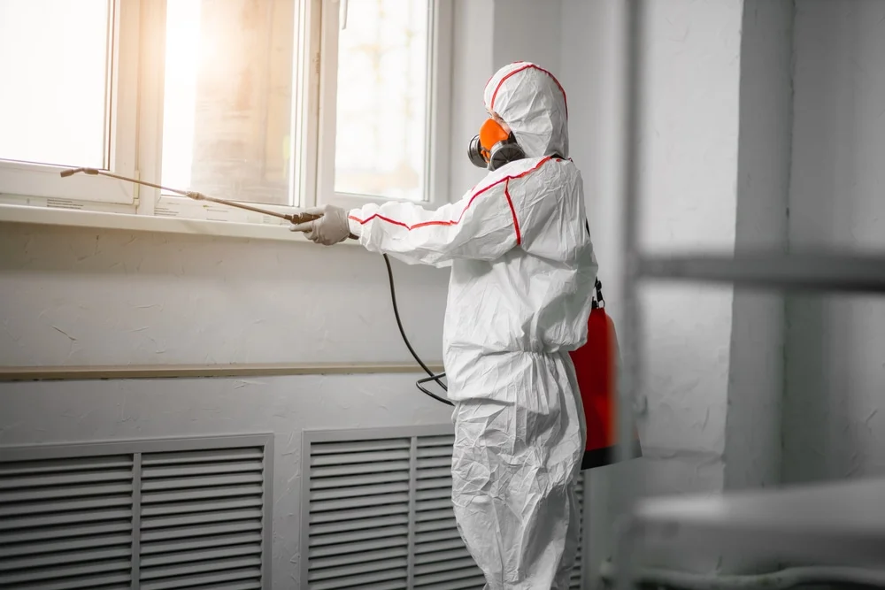 Professional mold remediation services in Wilmot, WI